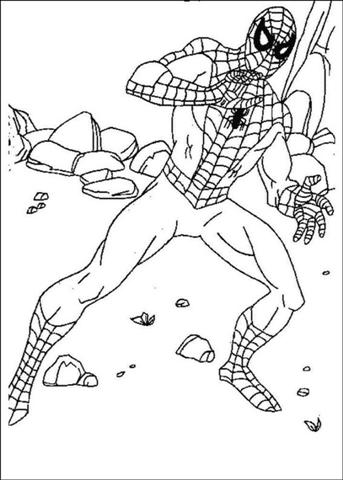 Spiderman Coloring Pages 8